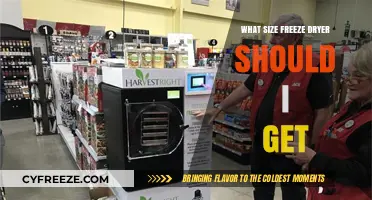 Choosing the Right Freeze Dryer Size for Your Needs
