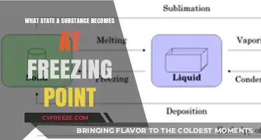 Exploring the Solid State: Understanding Substances at Their Freezing Point