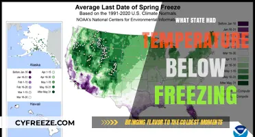 Which U.S. State Experienced Below-Freezing Temperatures Recently?
