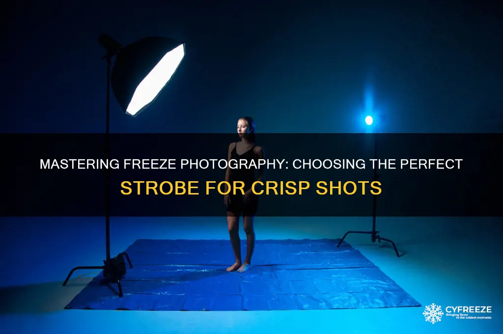what strobe to use to freeze photography