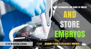 Embryo Preservation Techniques: Methods for Freezing and Long-Term Storage