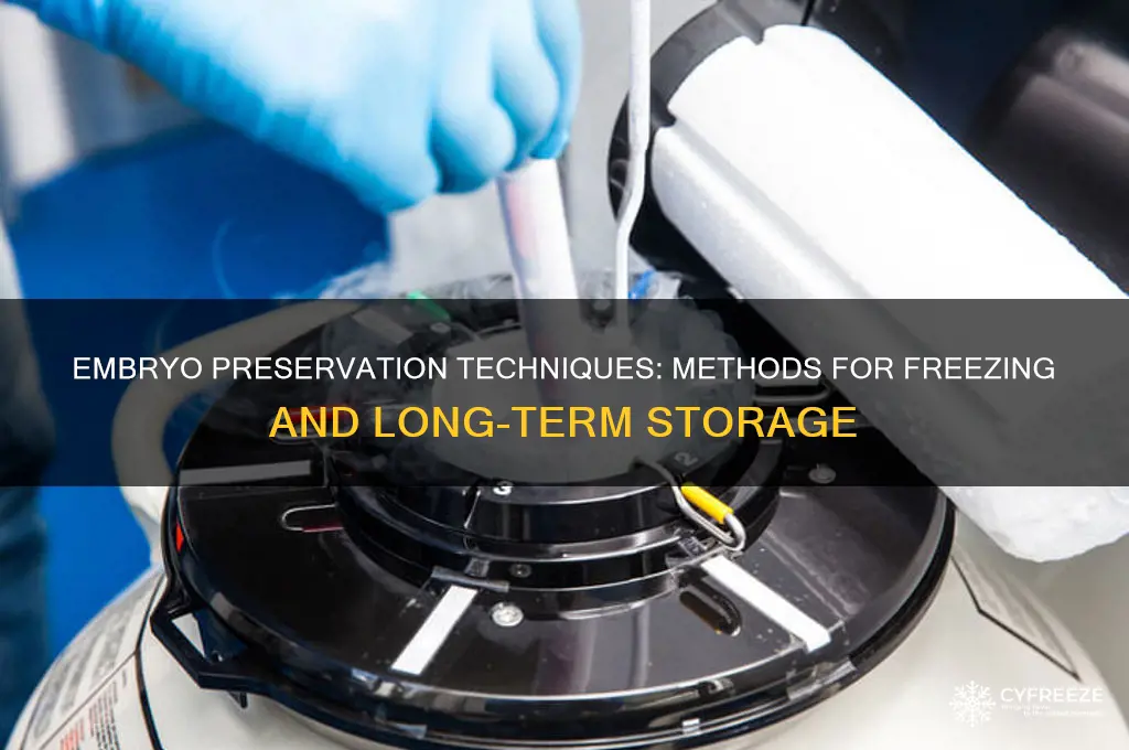what techniques are used to freeze and store embryos