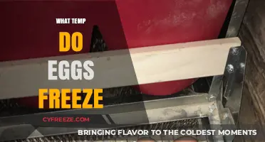 At What Temperature Do Eggs Freeze: A Comprehensive Guide