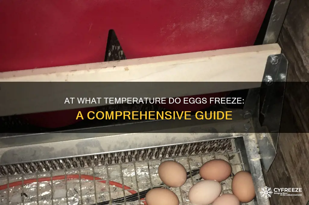 what temp do eggs freeze