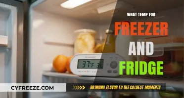Optimal Chill: Setting the Right Temps for Your Freezer and Fridge