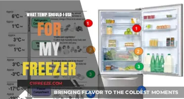 Optimal Freezer Temperature: A Guide to Preserving Food Safely