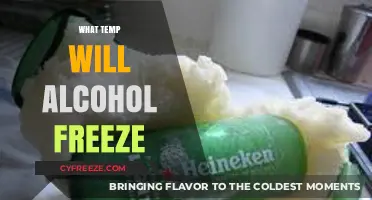 Chilling Truths: At What Temperature Does Alcohol Freeze?
