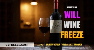 Chilling Insights: At What Temperature Does Wine Freeze?
