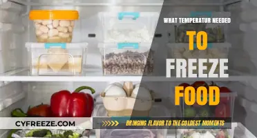 Optimal Freezing Temperatures for Preserving Food Safely and Effectively