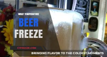 At What Temperature Does Beer Freeze? A Chilling Guide