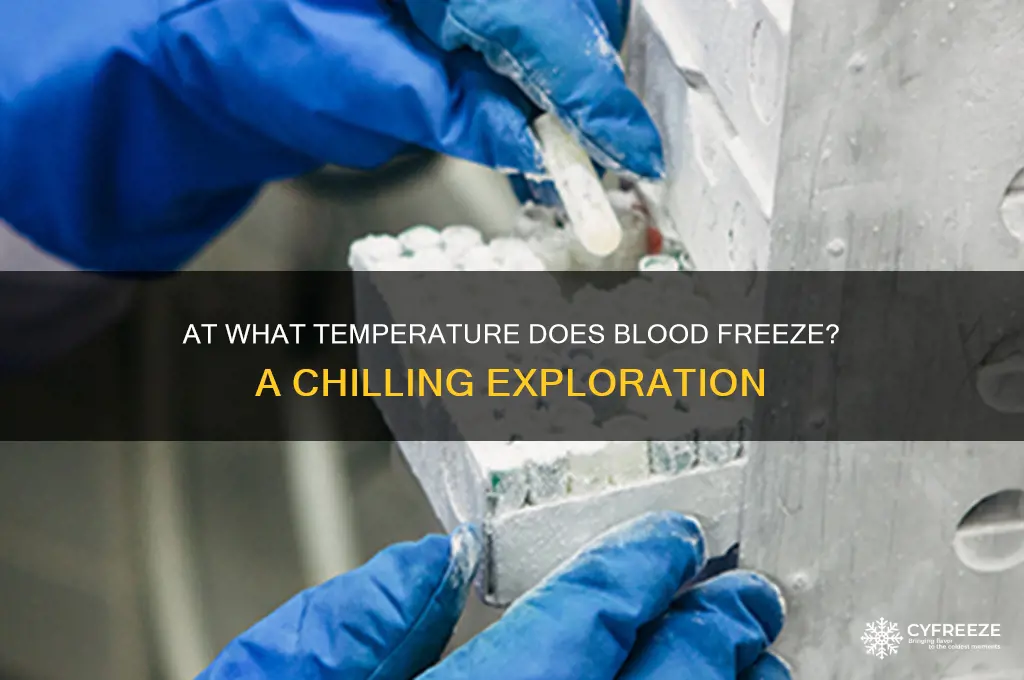what temperature blood freeze