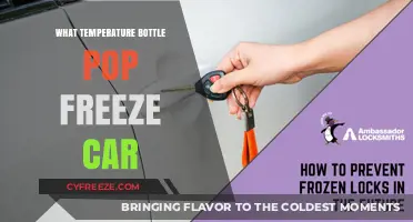 Preventing Frozen Bottle Pops in Your Car: Ideal Temperature Tips