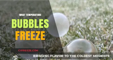 Exploring the Chilling Point: When Do Bubbles Freeze Solid?
