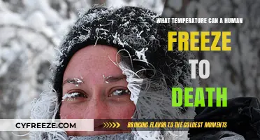 Human Survival Limits: At What Temperature Does Freezing Become Fatal?