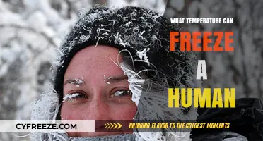 Human Freezing Point: At What Temperature Does the Body Freeze?