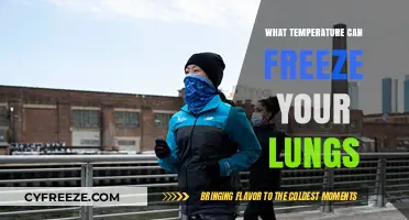 Can Extreme Cold Freeze Your Lungs? Understanding the Risks
