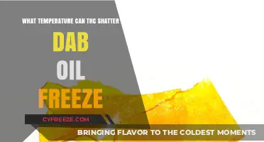 Can THC Shatter Dab Oil Freeze? Optimal Storage Temperature Guide