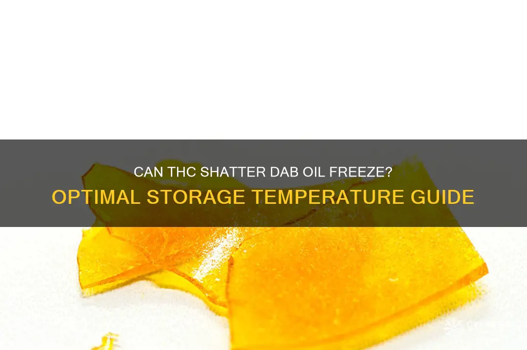 what temperature can thc shatter dab oil freeze