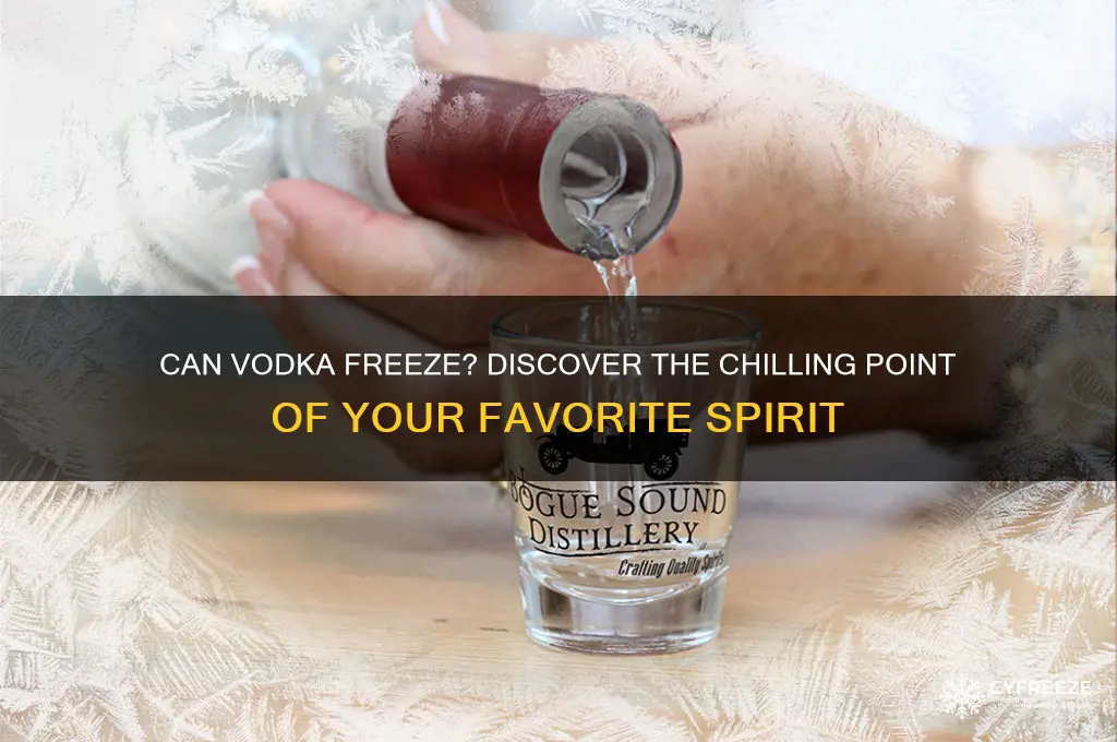 what temperature can vodka freeze