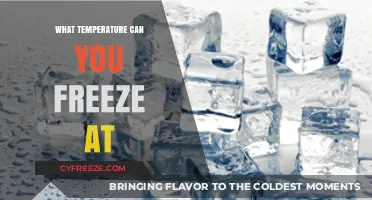 Understanding the Freezing Point: When and How Cold Becomes Ice