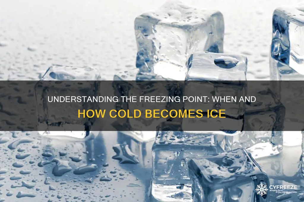 what temperature can you freeze at