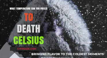 Deadly Cold: At What Celsius Temperature Does Freezing Lead to Death?
