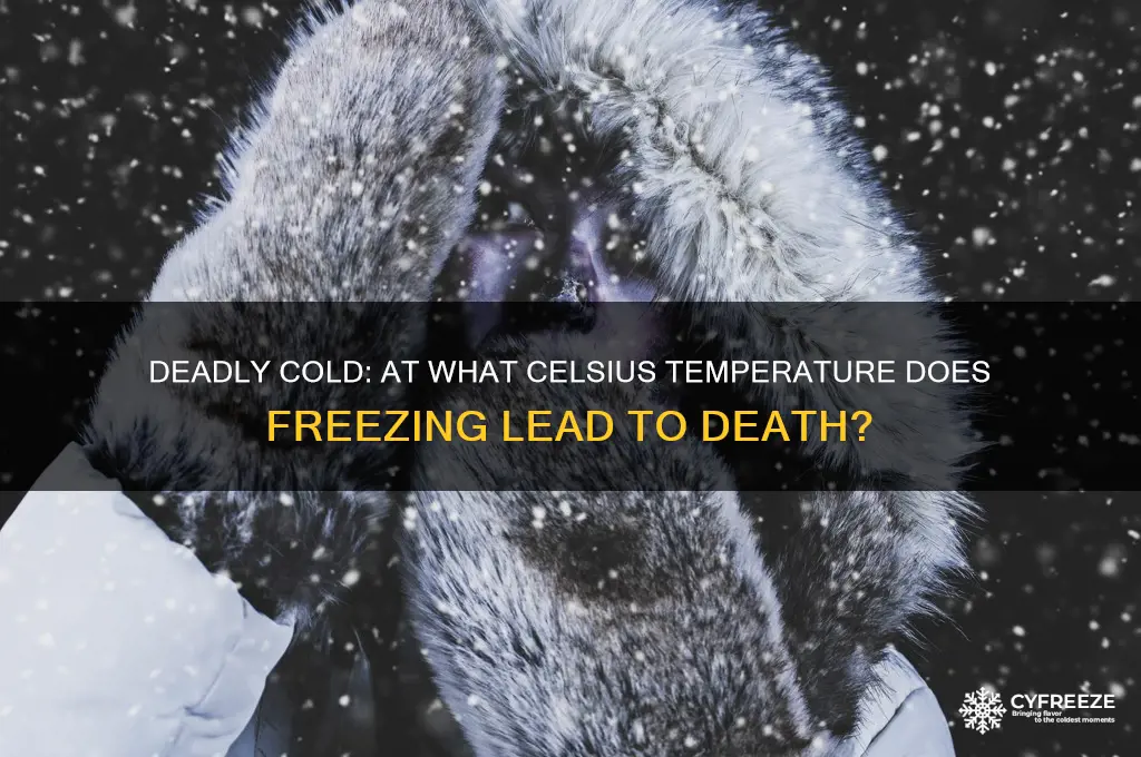 what temperature can you freeze to death celsius