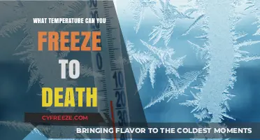 Freezing to Death: Understanding the Fatal Temperature Threshold for Humans