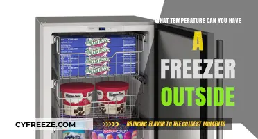 Optimal Outdoor Freezer Temperature: Safe Limits for External Use