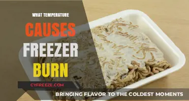 Understanding Freezer Burn: The Temperature Threshold and Prevention Tips