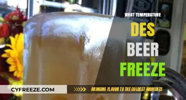 At What Temperature Does Beer Freeze? A Complete Guide