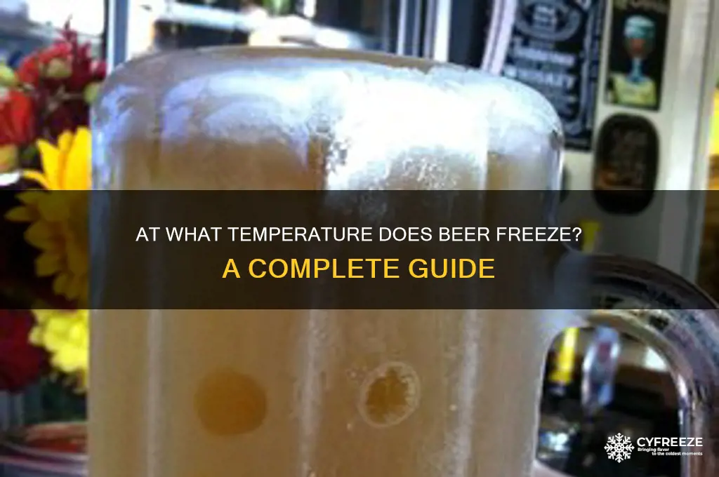 what temperature des beer freeze