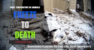 Critical Cold Thresholds: When Animals Freeze to Death in Nature