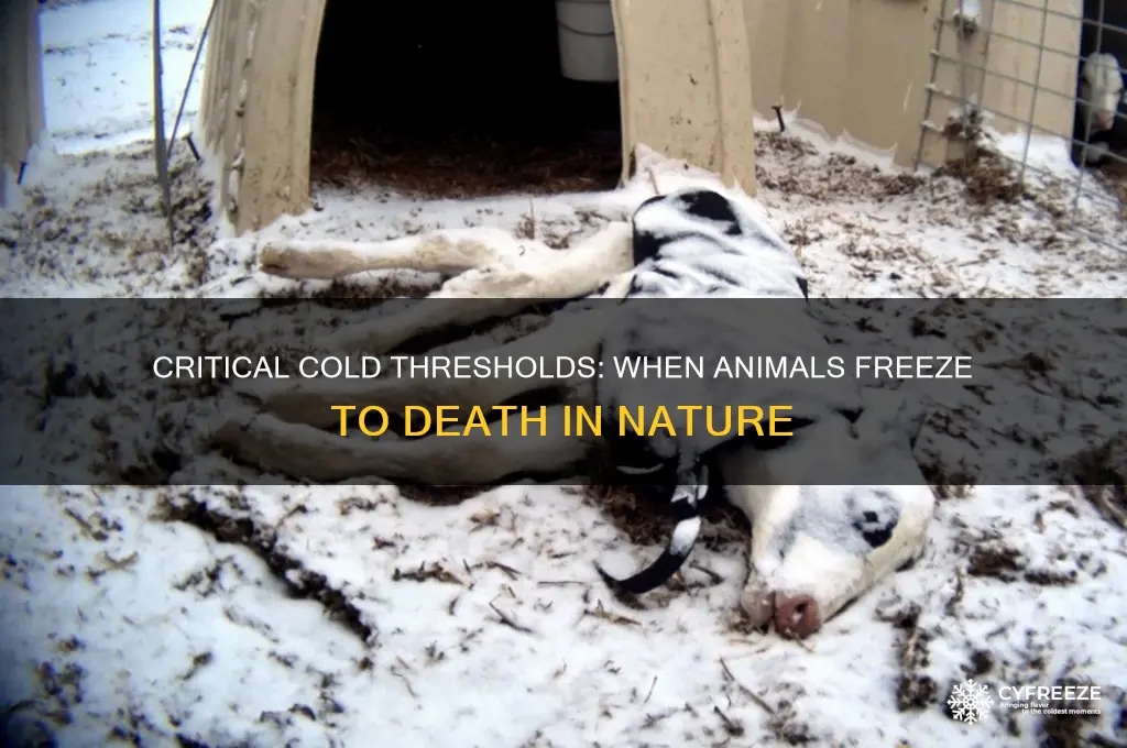what temperature do animals freeze to death