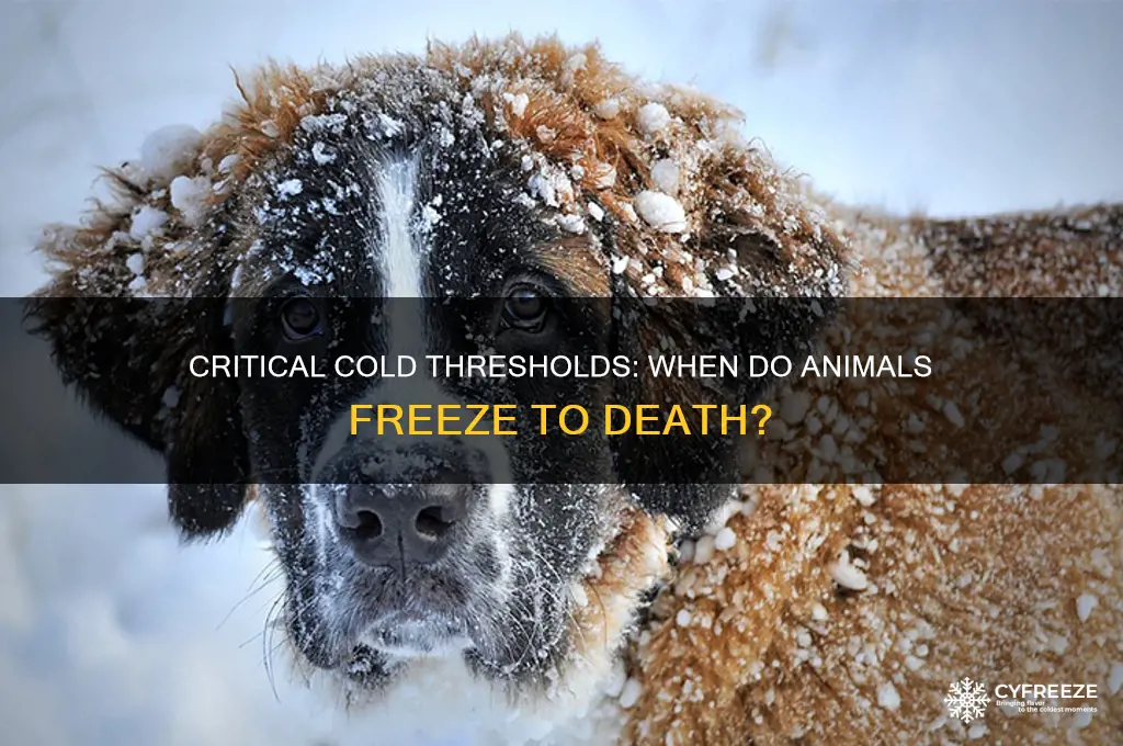 what temperature do animals freeze