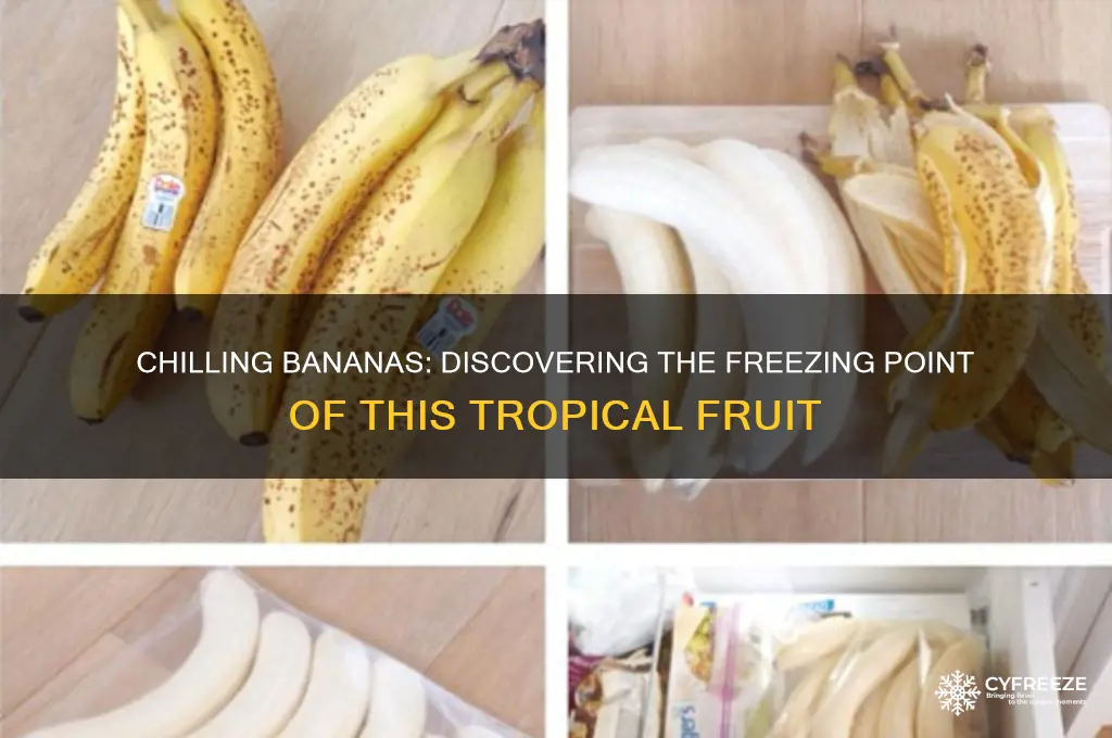 what temperature do bananas freeze at