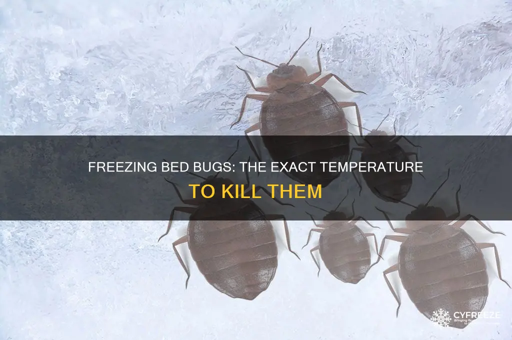 what temperature do bed bugs die freezing