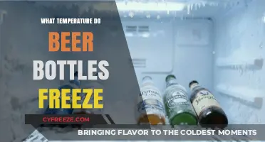 At What Temperature Do Beer Bottles Freeze? A Guide