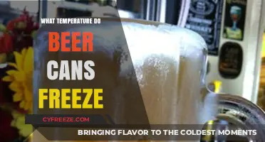 At What Temperature Do Beer Cans Freeze? A Guide