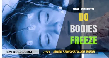 When Does the Human Body Freeze? Understanding Critical Temperatures