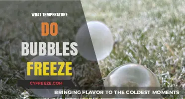 Chilling Science: At What Temperature Do Bubbles Freeze Solid?