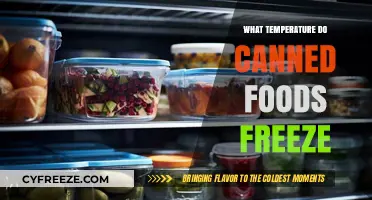 Canned Food Freezing Point: What Temperature Causes Cans to Freeze?