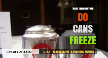 At What Temperature Do Cans Freeze and How to Prevent It