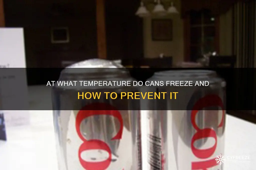 what temperature do cans freeze