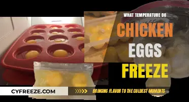 At What Temperature Do Chicken Eggs Freeze and Why?