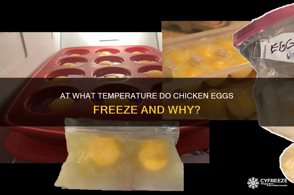 what temperature do chicken eggs freeze