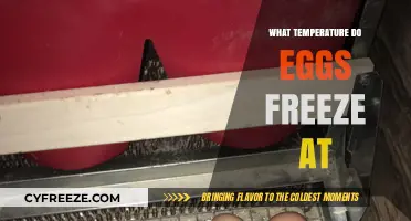 At What Temperature Do Eggs Freeze? A Comprehensive Guide