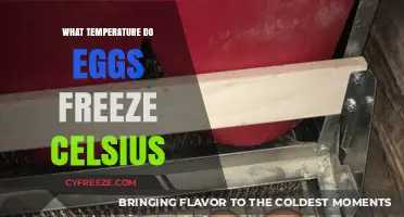 At What Celsius Temperature Do Eggs Freeze Solidly?