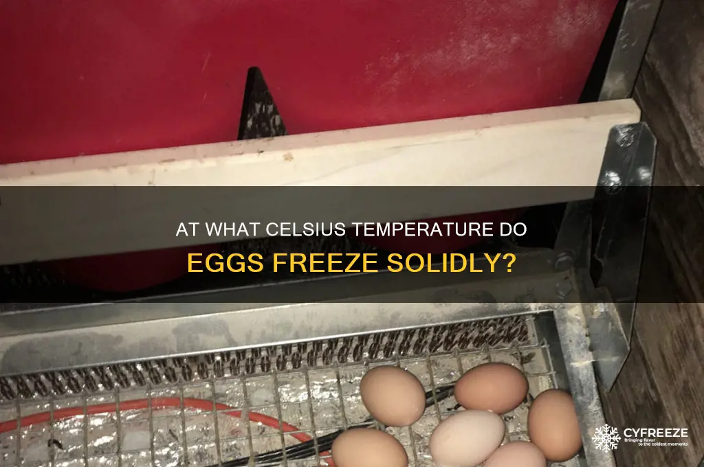 what temperature do eggs freeze celsius