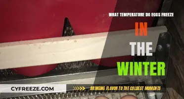 Winter Egg Care: At What Temperature Do Eggs Freeze?